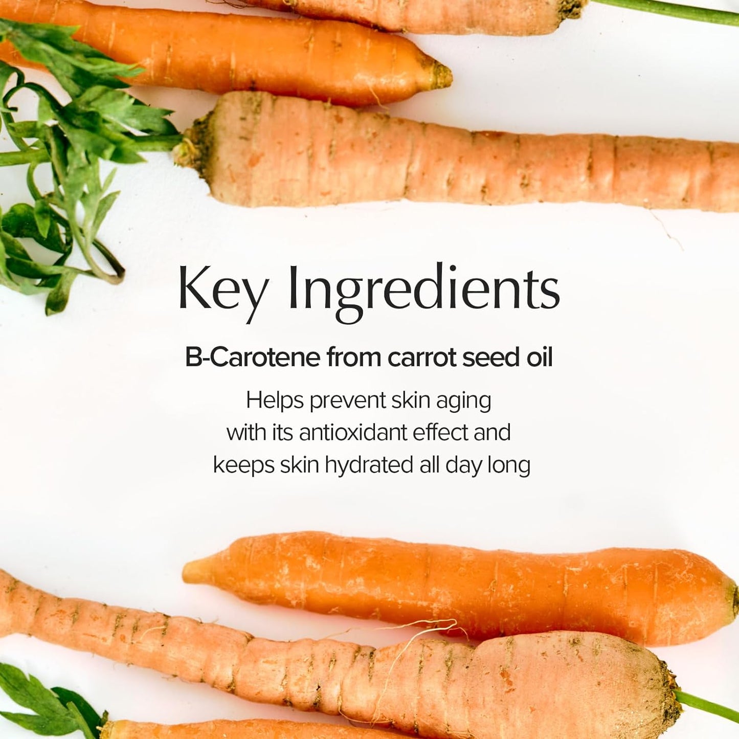 SKINFOOD - Carrot Carotene Calming Water Pad (60pcs)