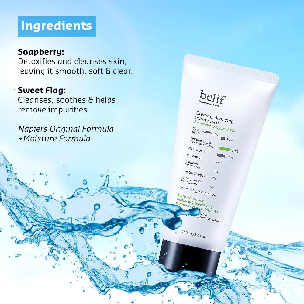 BELIF - Creamy Cleansing Foam Moist