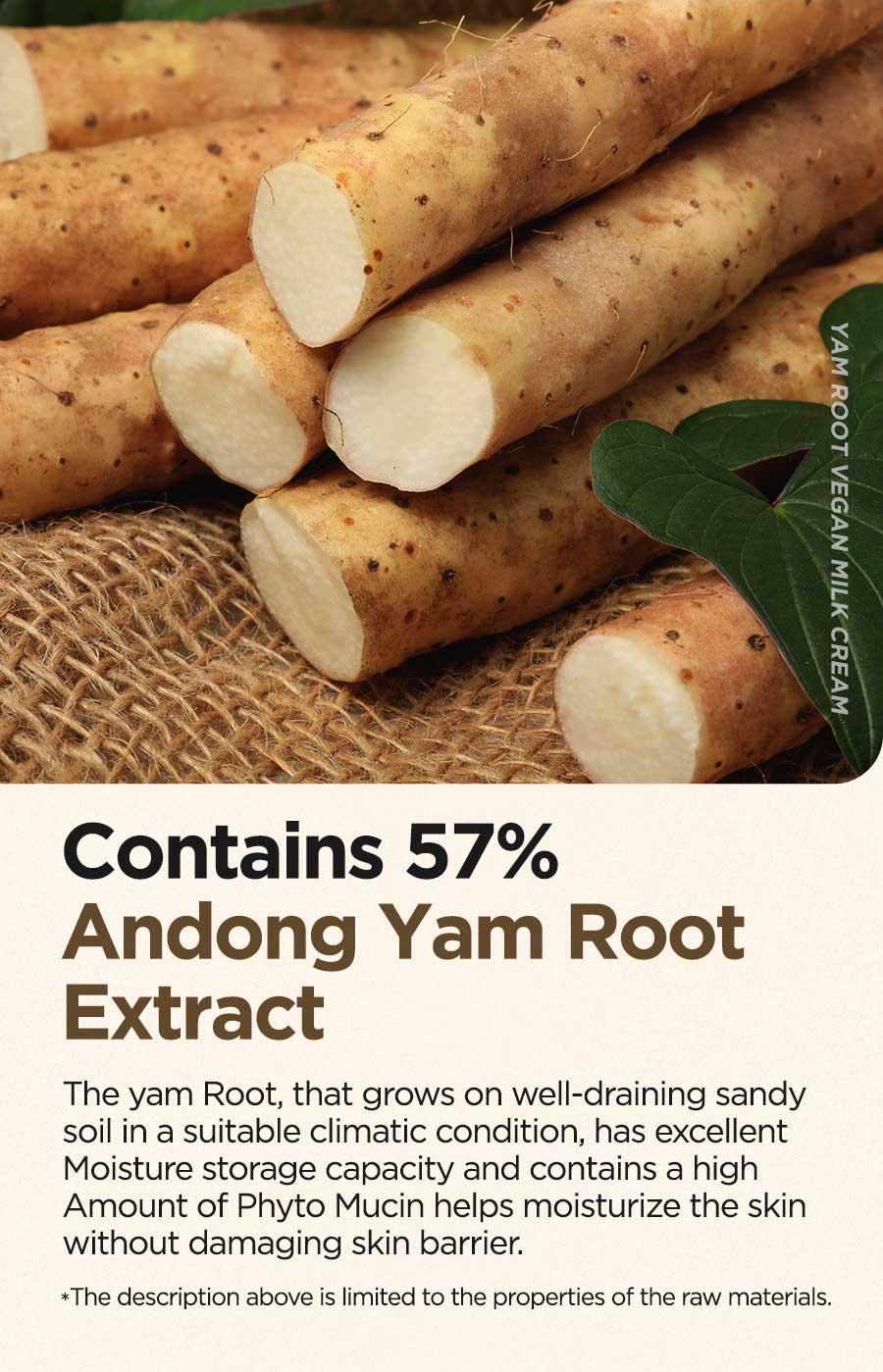 ISNTREE - Yam Root Vegan Milk Cream